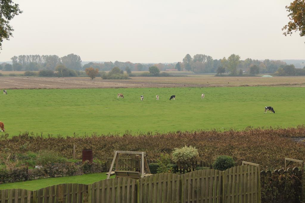 Op De Borgh Villa Laar Bagian luar foto